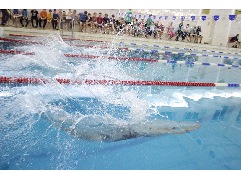 Ilustratīvs foto/ Foto: Daugavpils24.lv