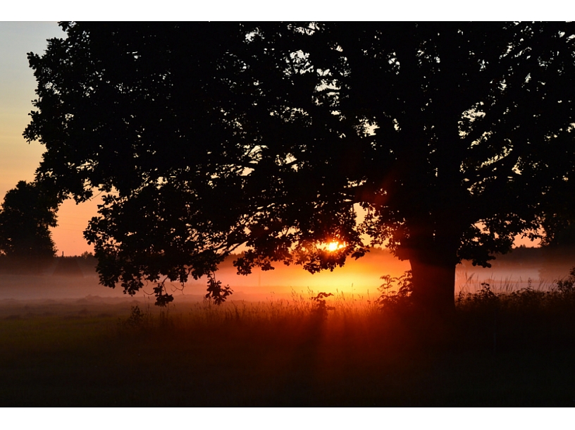 Foto: Aivija Gritāne