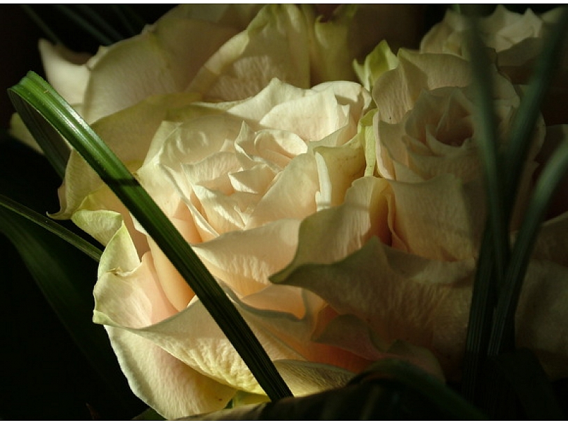 Ilustratīvs foto/ Foto: Stock.XCHNG