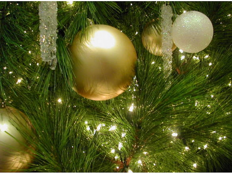 Ilustratīvs foto/ Foto: Stock.XCHNG