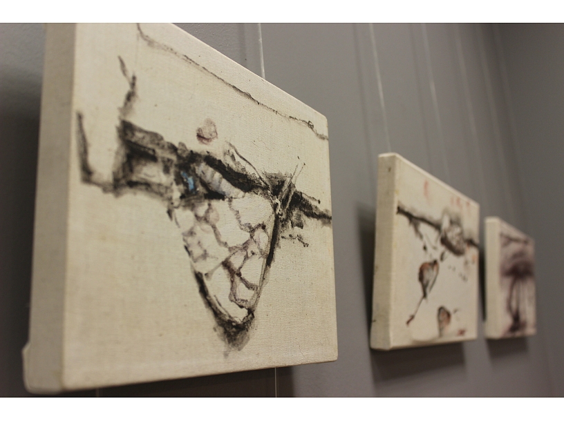 Ilustratīvs foto/ Foto: Daugavpils24.lv