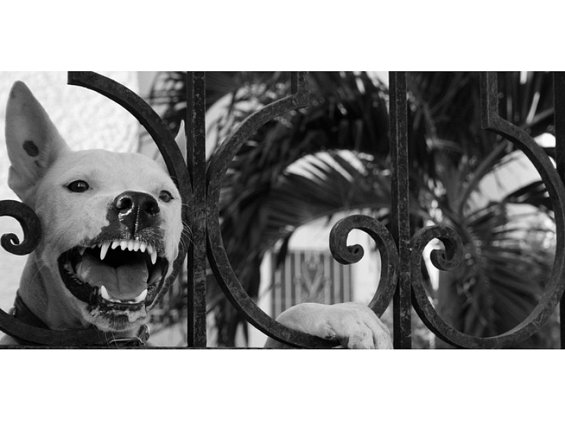 Ilustratīvs foto/ Foto: Stock.XCHNG