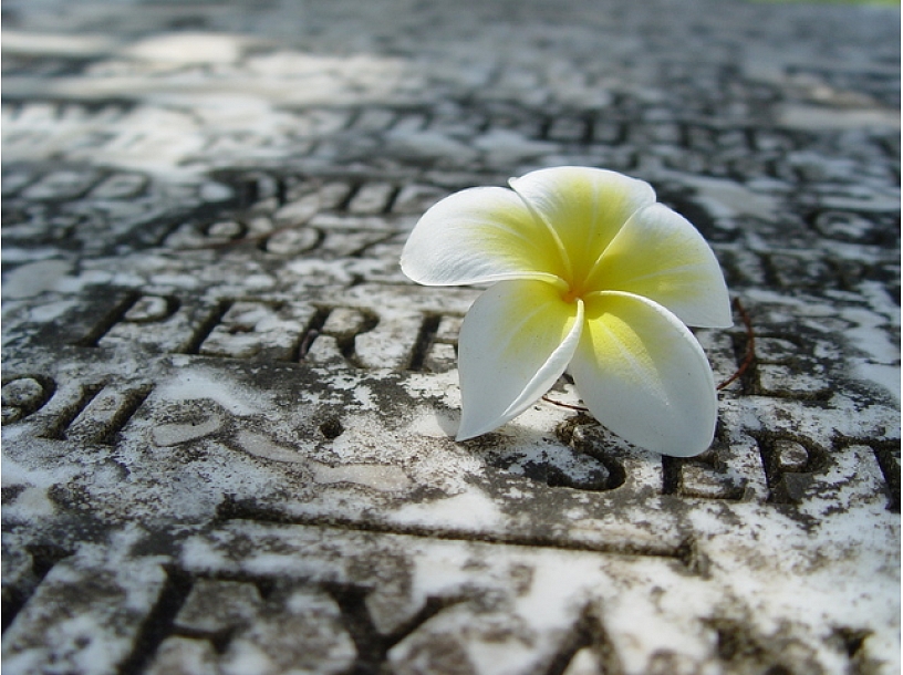 Ilustratīvs foto/ Foto: Stock.XCHNG