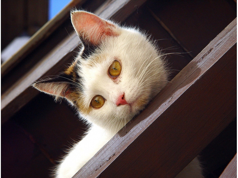 Ilustratīvs foto/ Foto: Stock.XCHNG