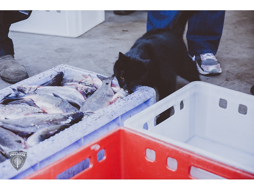 Foto: Valsts Policija