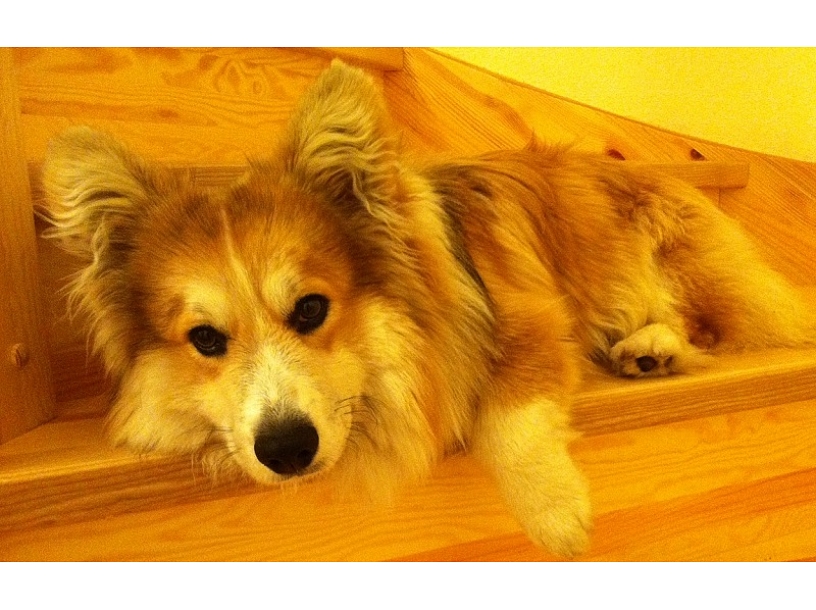 Foto no personīgā arhīva