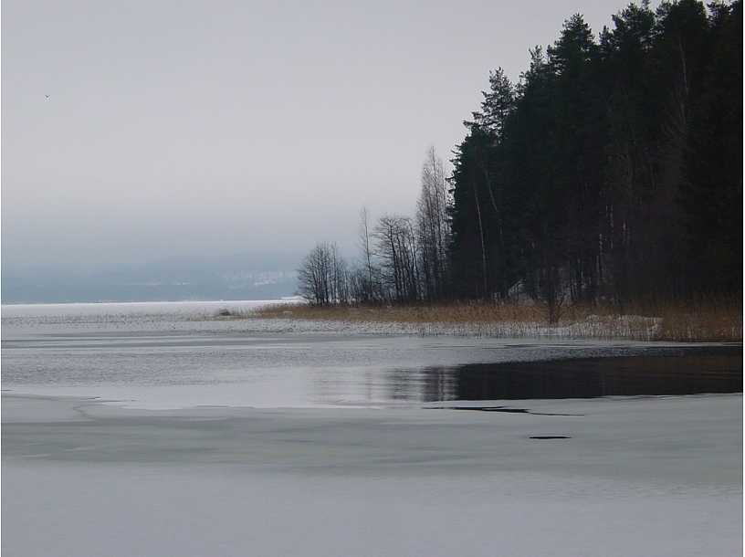 Ilustratīvs foto/ Foto: Stock.XCHNG