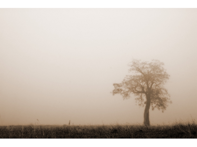 Ilustratīvs foto/ Foto: Stock.XCHNG