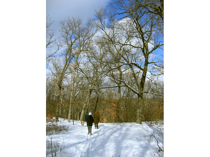 Ilustratīvs foto/ Foto: Stock.XCHNG