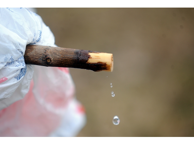 Foto: Edijs Pālens/LETA