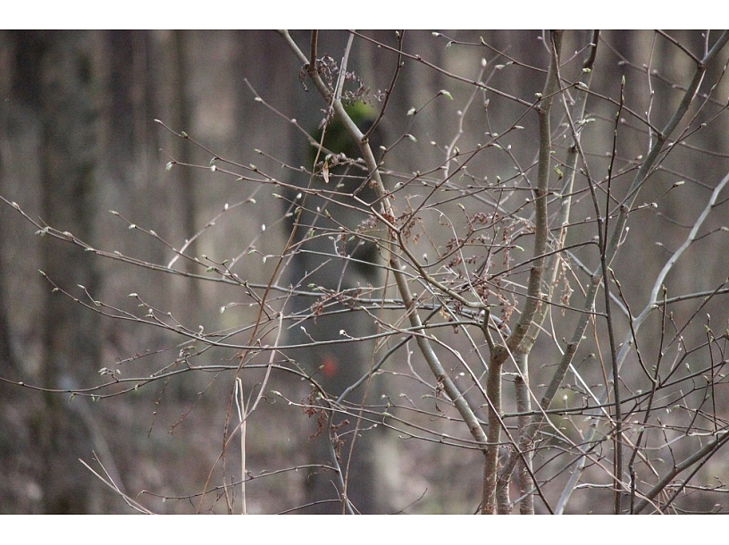 Foto: Edgars Vaivads