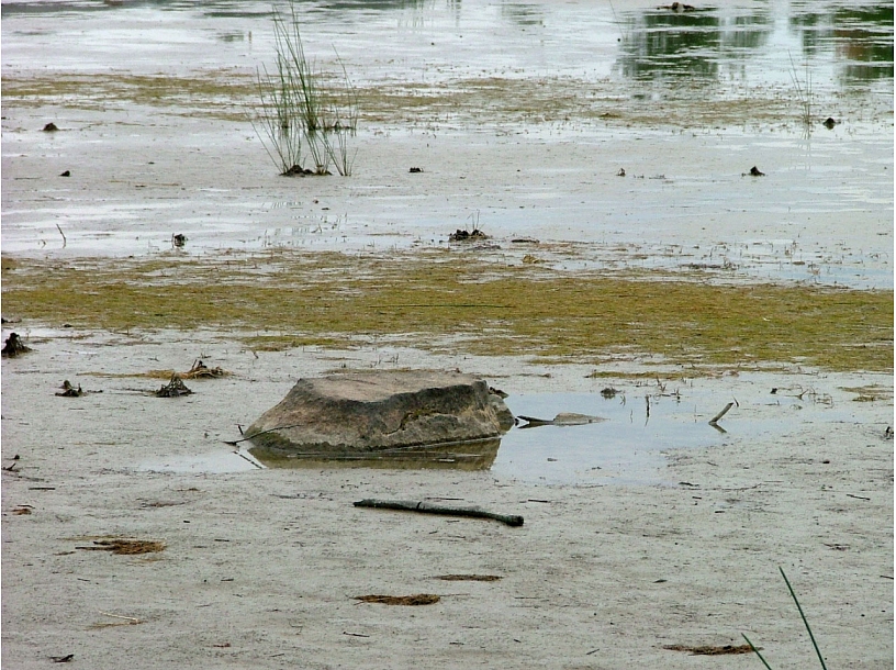 Ilustratīvs foto/ Foto: Stock.XCHNG