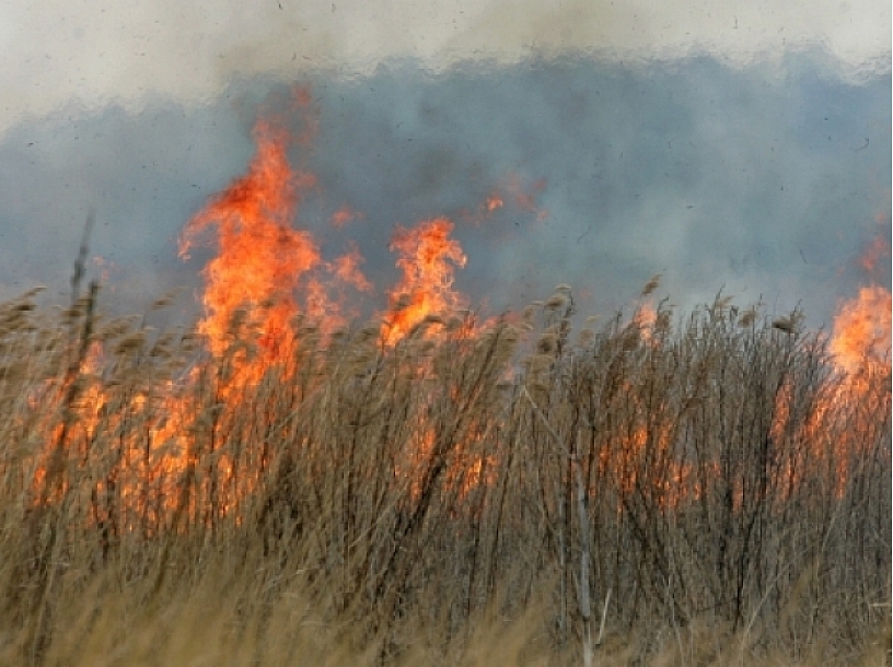 Foto: Gatis Dieziņš/ LETA