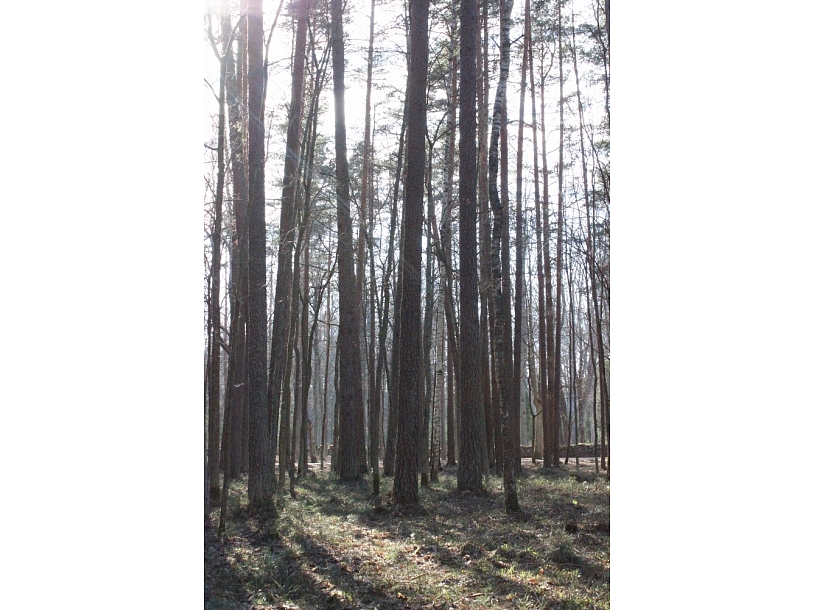 Sigulda24.lv