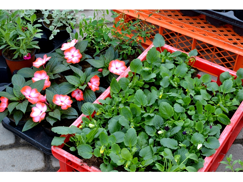 Anna Kārkliņa/ Valmiera24.lv