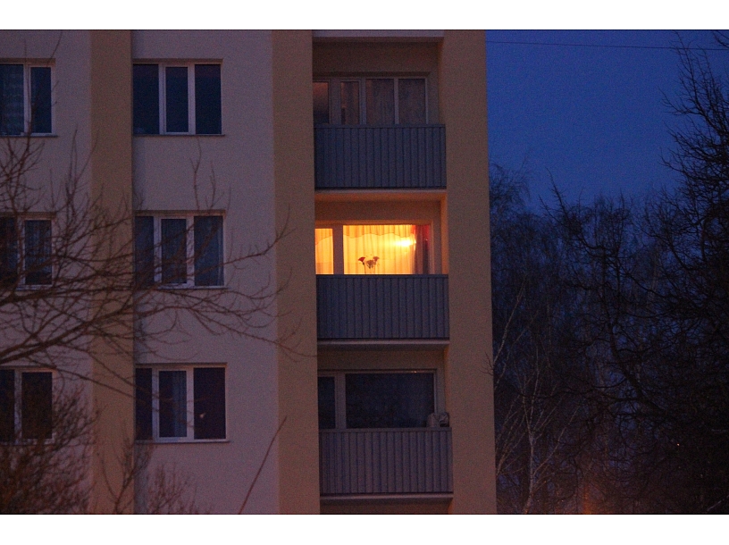 Foto: Edijs Pālens/LETA