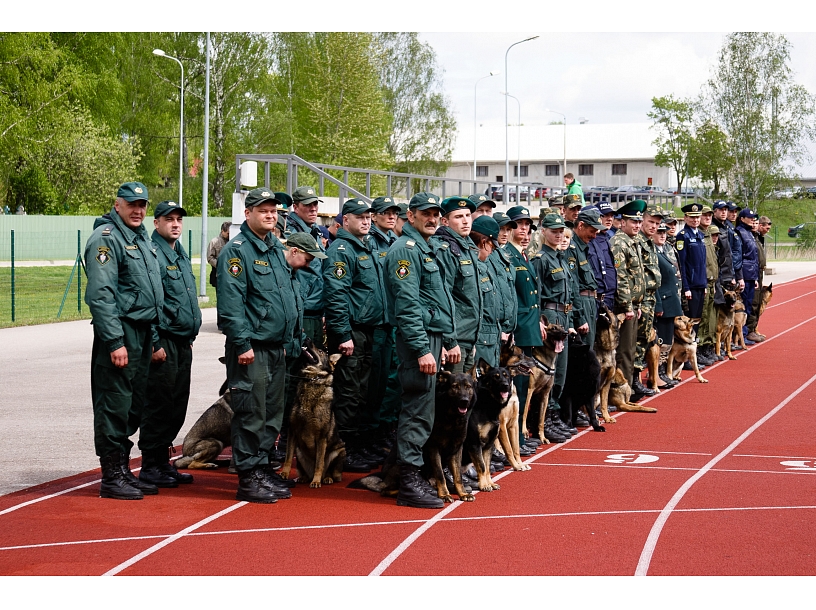 Publicitātes foto