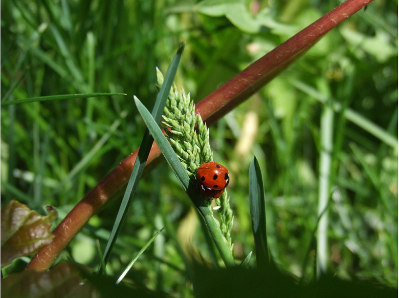 Pilseta24.lv