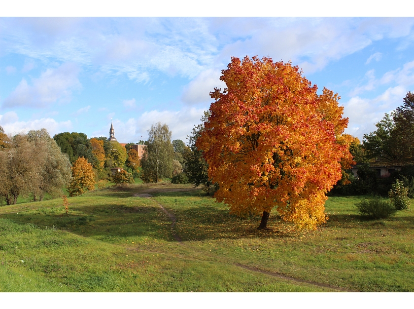 Dāvis Strazds/ Valmiera24.lv