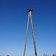 Arboristu pakalpojumi