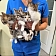 Veterinārārsts tur kaķēnus rokās