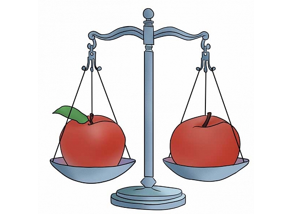 Inese Kurzemniece, jurists