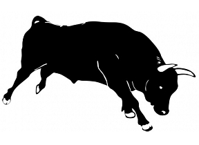 Kalna-Vēveri, bioloģiskā zemnieku saimniecība