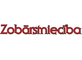 "Sandras Viļumsones privātprakse", SIA