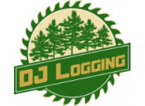 "DJ Logging", SIA