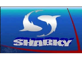 Sharky, sporta klubs, sporta nodarbības
