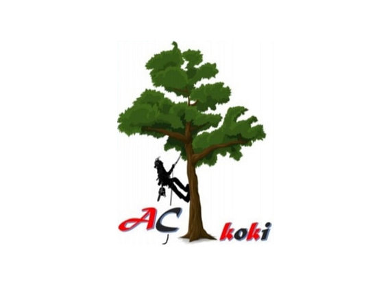 AC koki, SIA