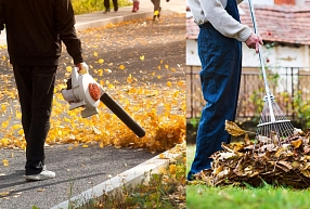 Lapu pūtēji – jūsu palīgi piemājas darbos
