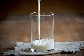 Piena pārstrādes uzņēmuma "Krāslavas piens" apgrozījums pērn sarucis par 20,8%