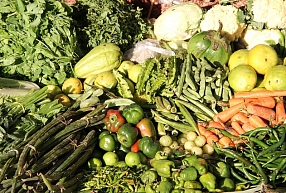 Dārzeņu audzētāja "Sabiedrība Mārupe" apgrozījums pērn saruka par 4,7%