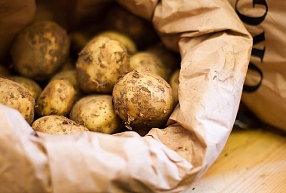 Kartupeļu cietes ražotāja "Aloja-Starkelsen" apgrozījums pagājušajā finanšu gadā saruka par 1,7%
