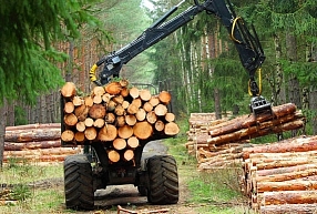 SIA "PK Mežs" <b>– </b>mežistrāde, pirkt mežu, kokapstrāde