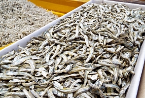"Vlakon" plāno sākt realizēt gatavo zivju produkciju Vācijā