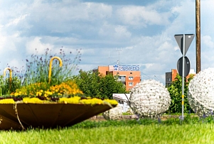 Цветущий Даугавпилс: итоги сезона озеленения 2025 года