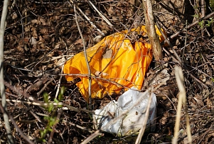 В преддверии Большой толоки в Даугавпилсе проводится инвентаризация загрязненных мест