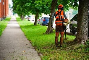 В Даугавпилсе продолжаются работы по покосу травы