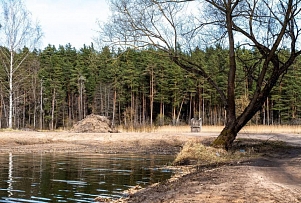 В Даугавпилсе состоится познавательное мероприятие, посвященное водно-болотному угодью в Ругелях