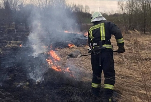 На ул. Виршу продолжает гореть старник