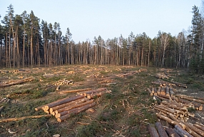 Cirsmas pārdošanas līgums – ko pārbaudīt pirms parakstīšanas?