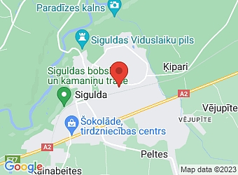  Dārza 20c, Sigulda, Siguldas nov., LV-2150,  AC Customs, SIA