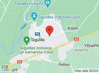  Dārza 20C, Sigulda, Siguldas nov., LV-2150,  AC Customs, SIA