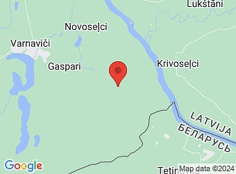 "Ādami", Kaplavas pagasts, Krāslavas nov., LV-5668,  Ādami, SIA