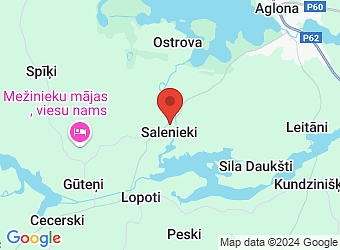  Salenieki , Aglonas pagasts, Preiļu nov. LV-5304,  Aglona, sociālās aprūpes centrs