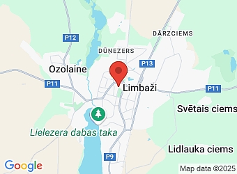  Parka 8, Limbaži, Limbažu nov. LV-4001,  Apiņa T. medicīniskā prakse neiroķirurģijā