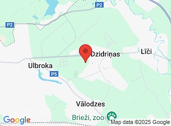  "Lielozoli", Dzidriņas, Stopiņu pagasts, Ropažu nov., LV-2130,  Arena Plus, SIA