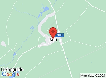  Skolas 10A, Auri, Auru pagasts, Dobeles nov., LV-3710,  Auriņš, pirmsskolas izglītības iestāde